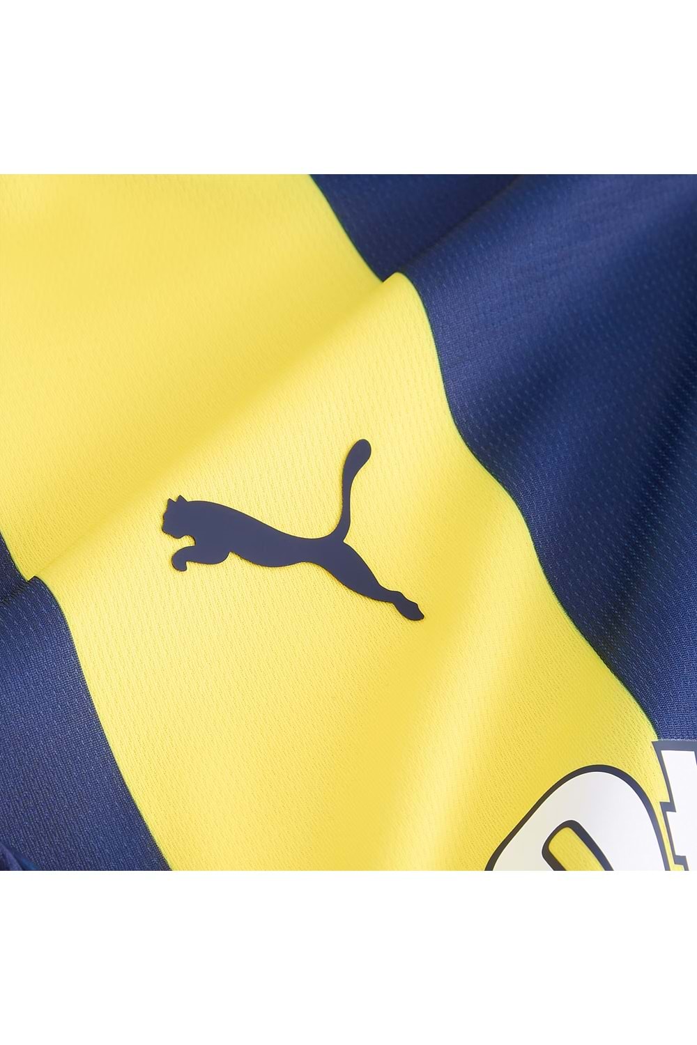 Fenerbahçe 2024/25 İç Saha Forması