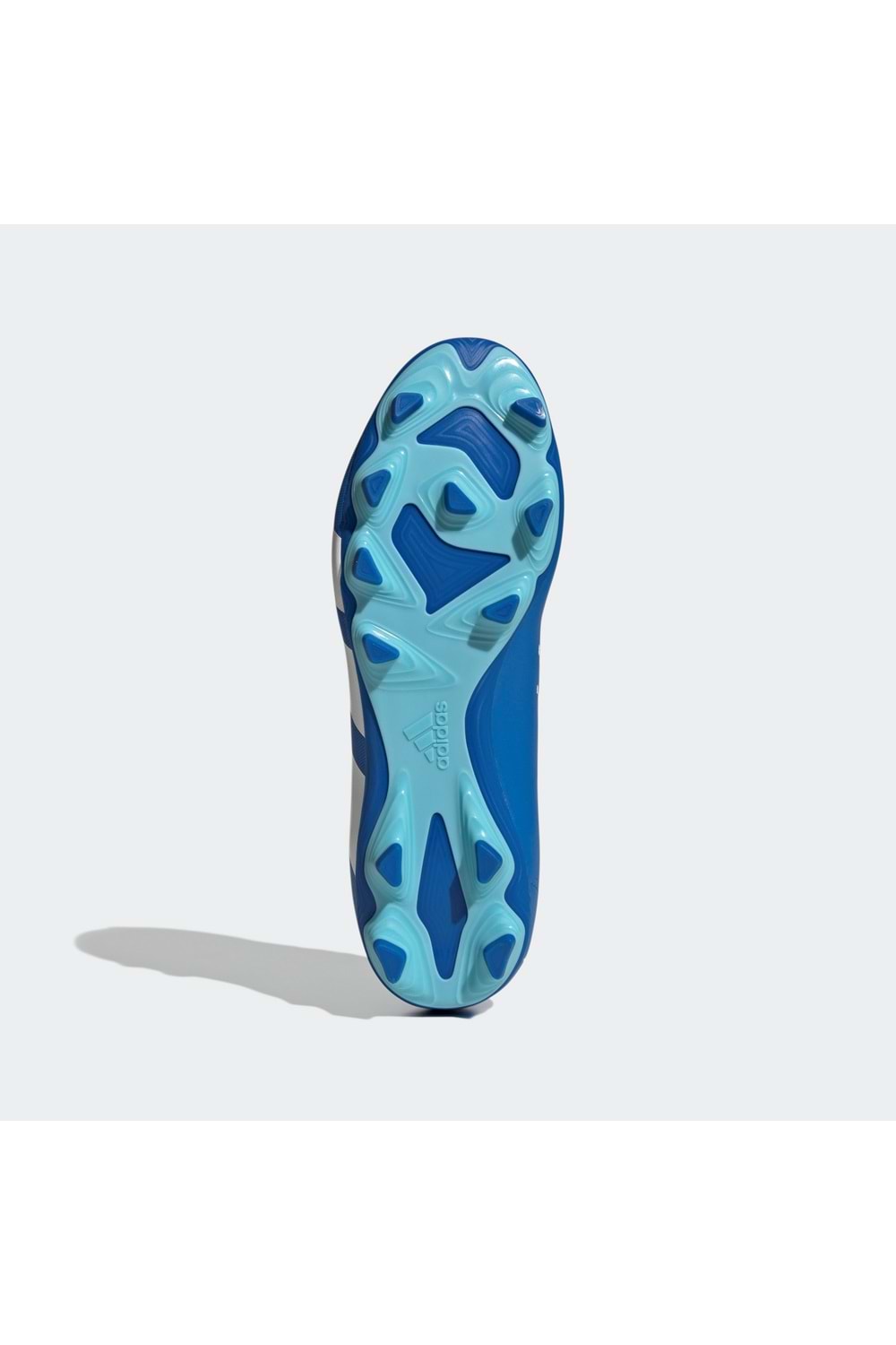 Predator Accuracy.4 Fxg