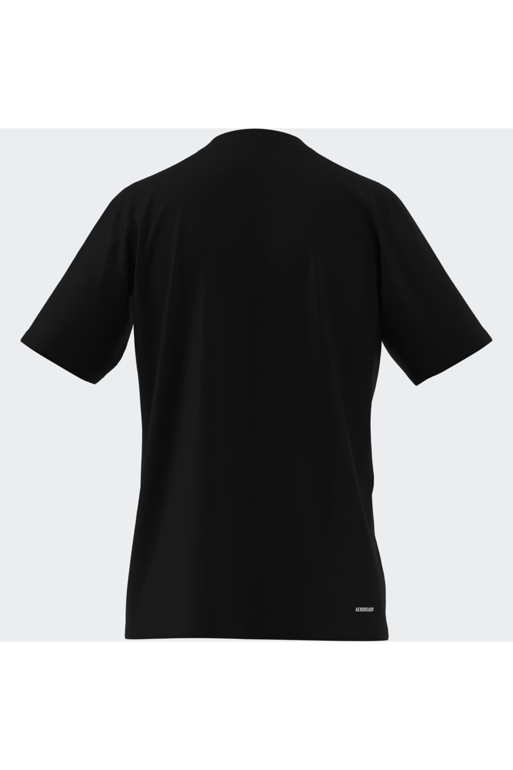 Train Essentials Comfort