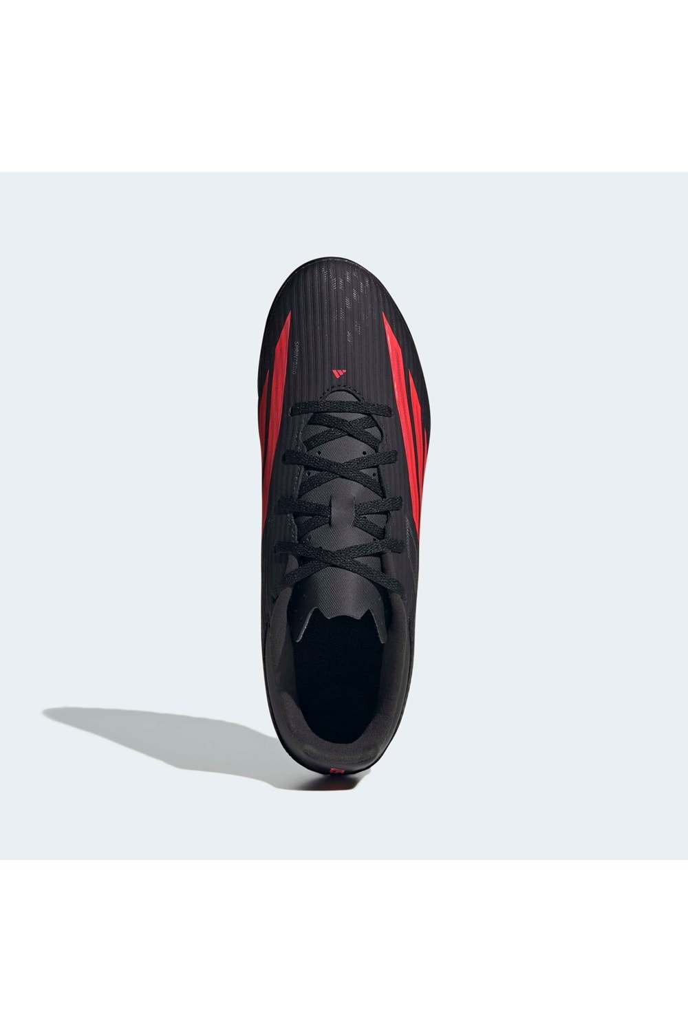 F50 Club TF