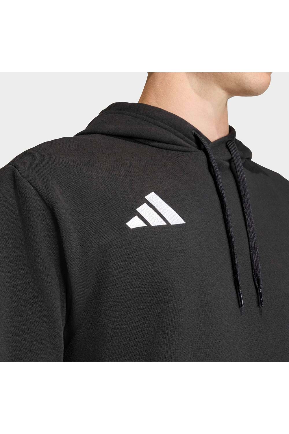 Ent26 Hoody
