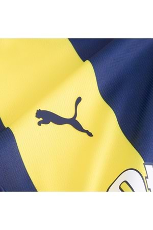 Fenerbahçe 2024/25 İç Saha Forması