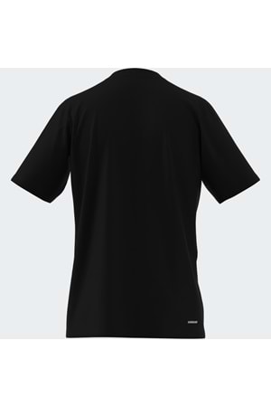 Train Essentials Comfort