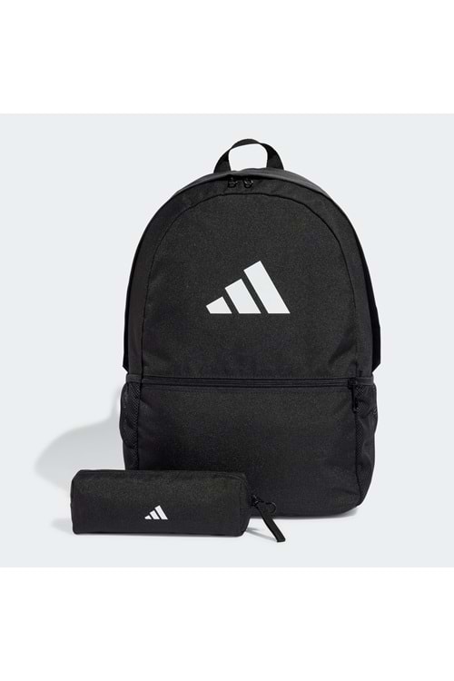 Clsc Pcase Bp