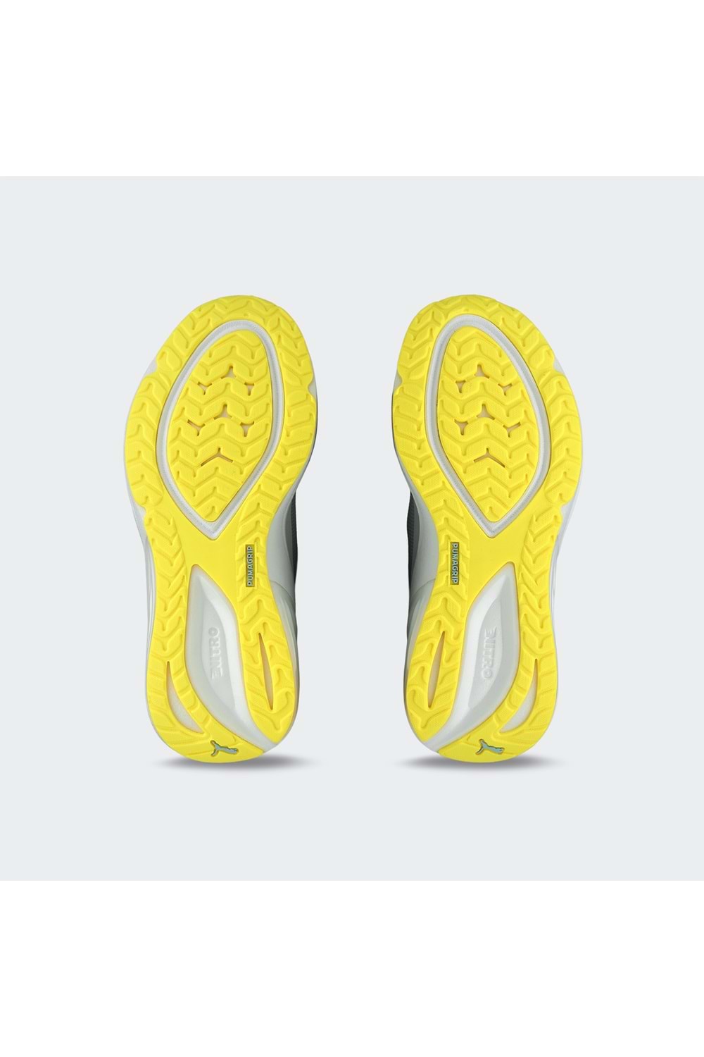 Electrify NITRO 4 Wns