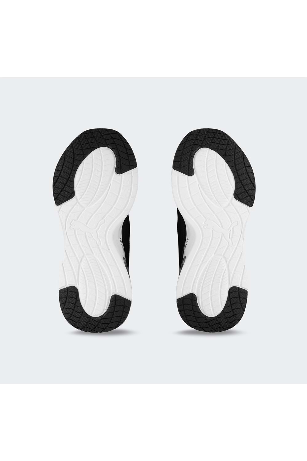 Softride Charm Animal Wns