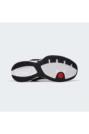 Air Monarch IV