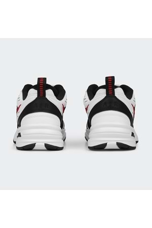 Air Monarch IV