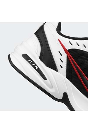 Air Monarch IV