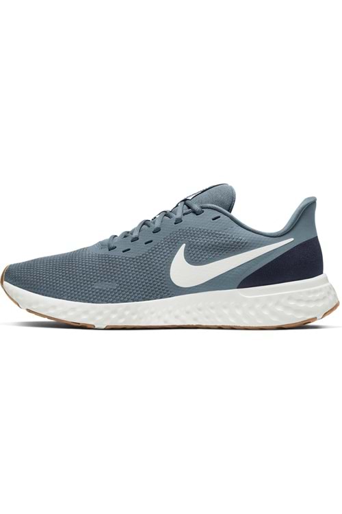 Nike Revolution 5 Erkek Koşu&Yürüyüş Ayakkabısı BQ3204-012