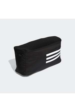 TR Shoebag