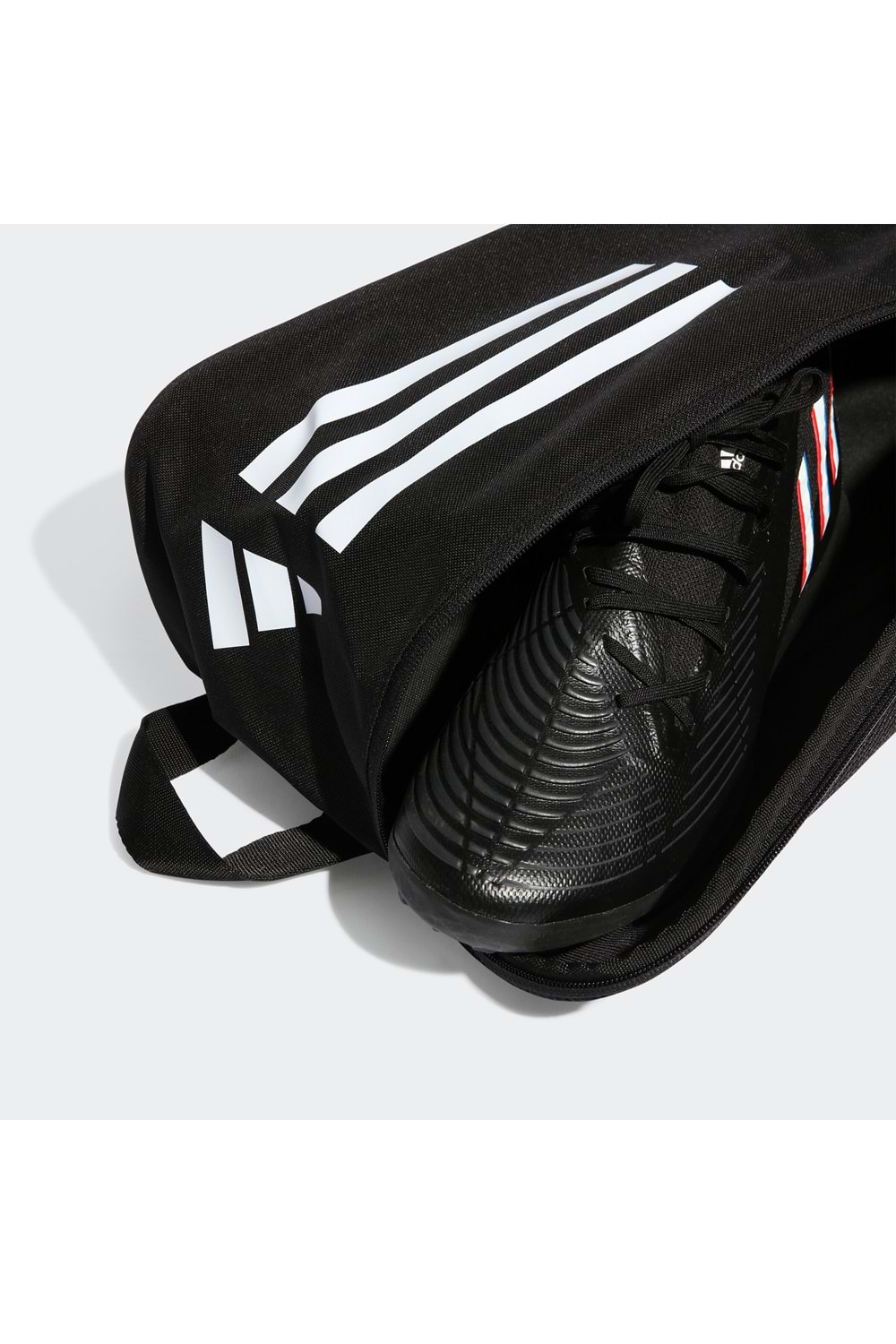 TR Shoebag