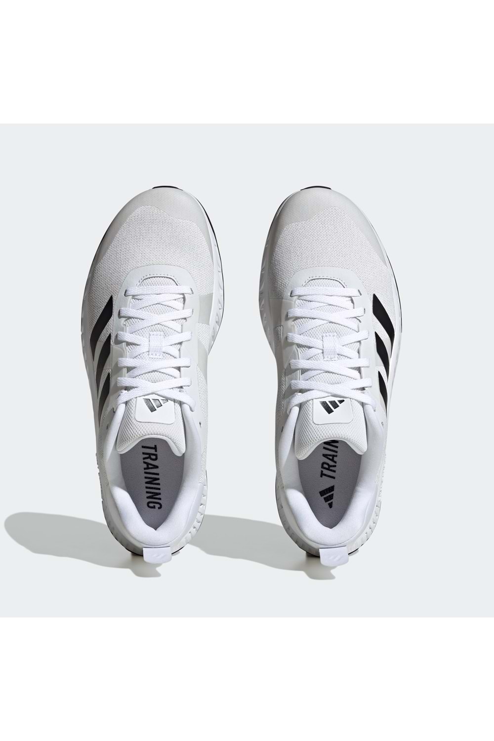 Everyset Trainer