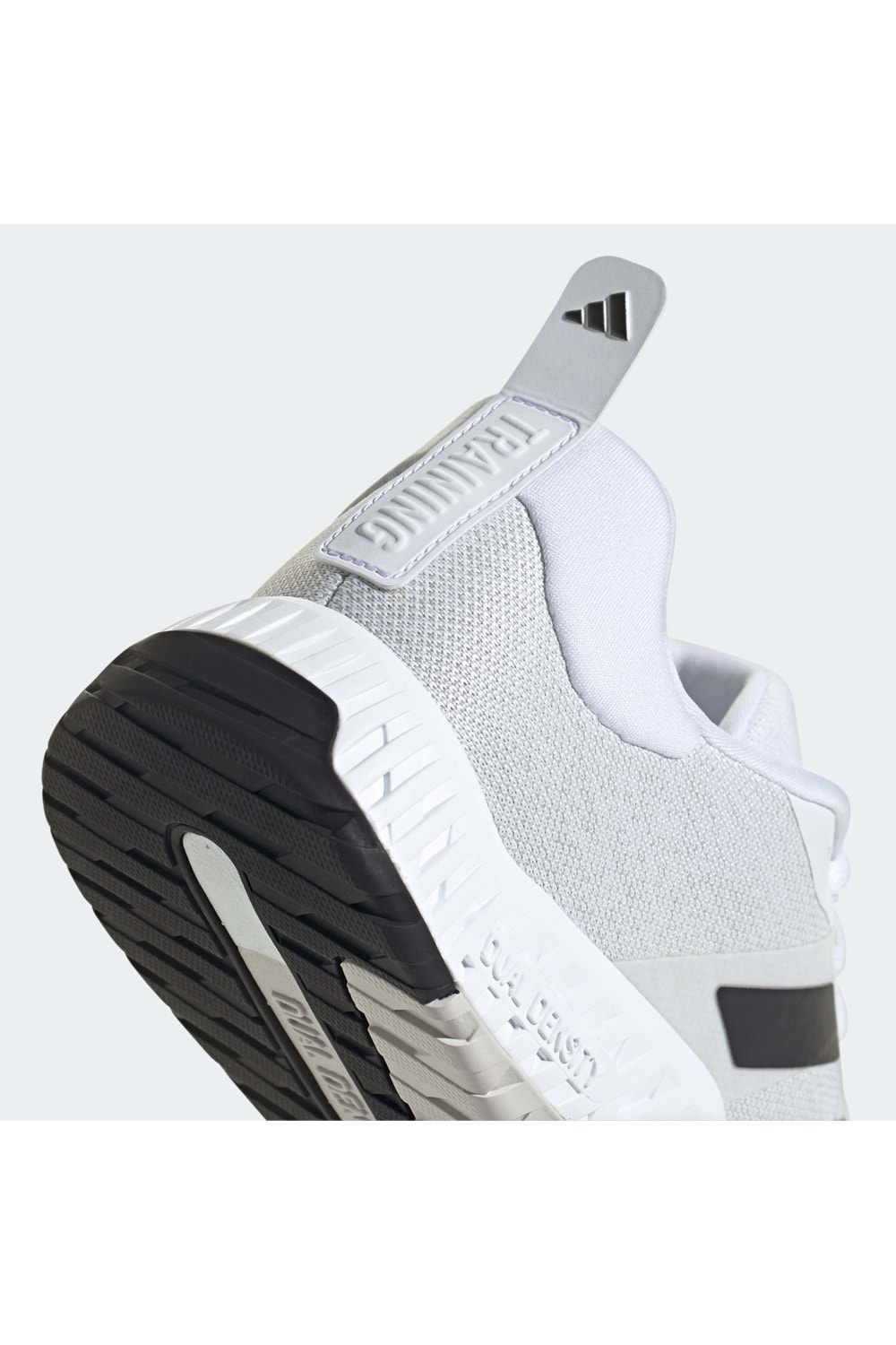 Everyset Trainer