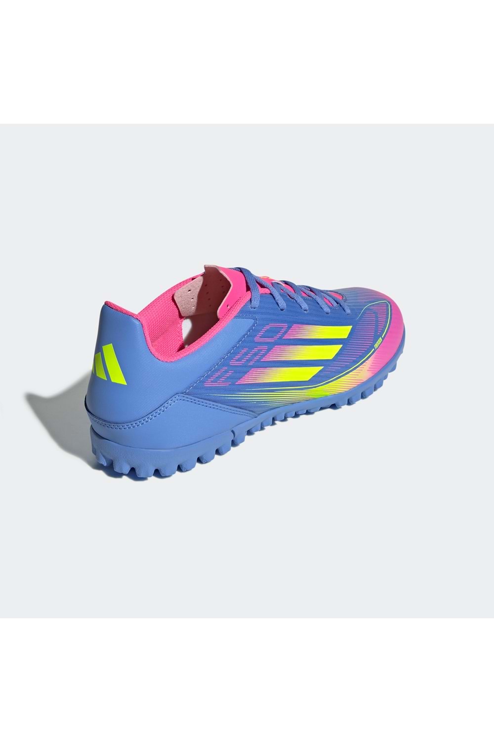F50 Club TF