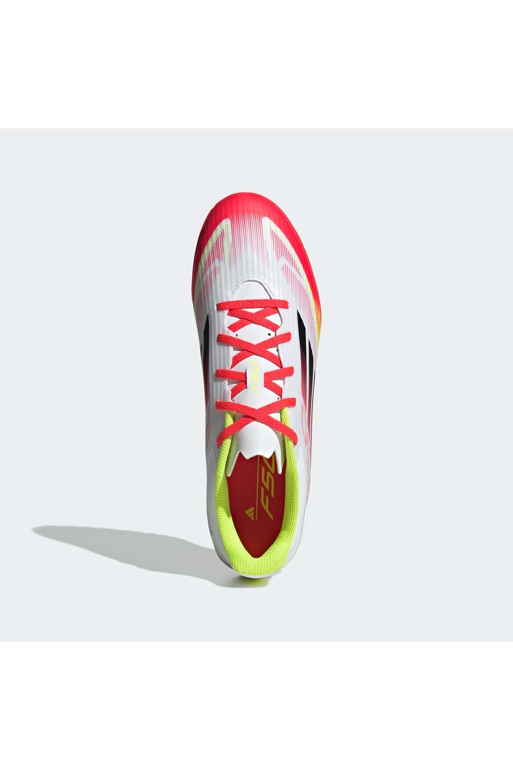 F50 Club TF