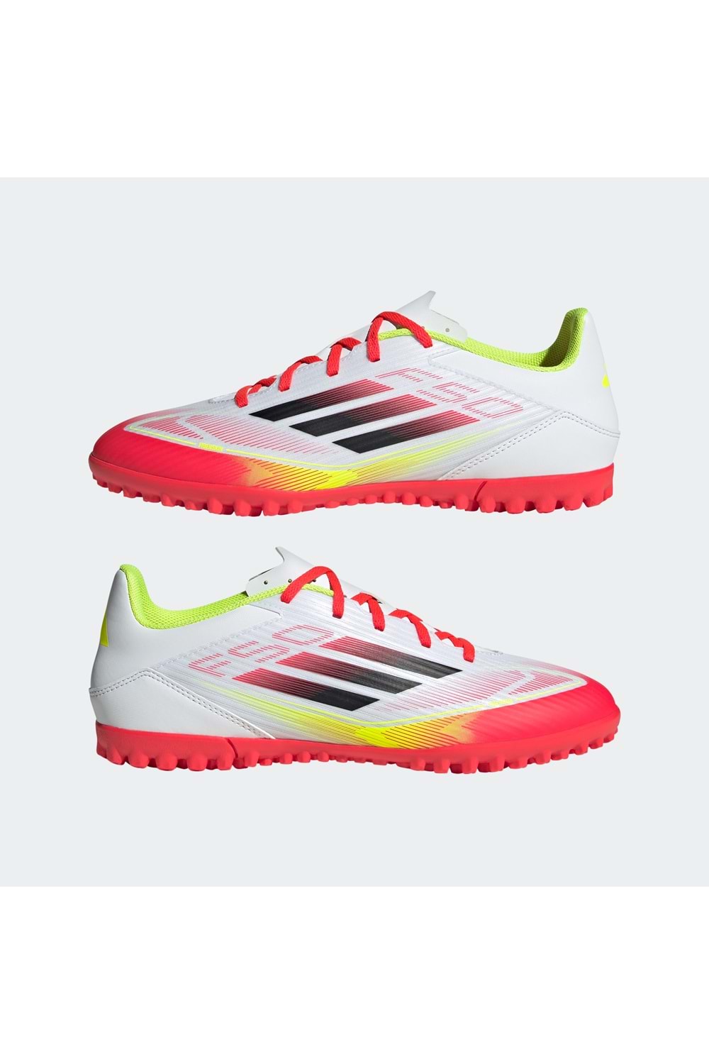 F50 Club TF