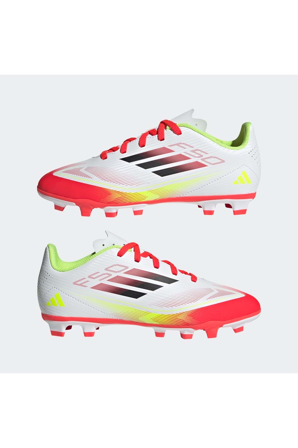 F50 Club FG/MG J