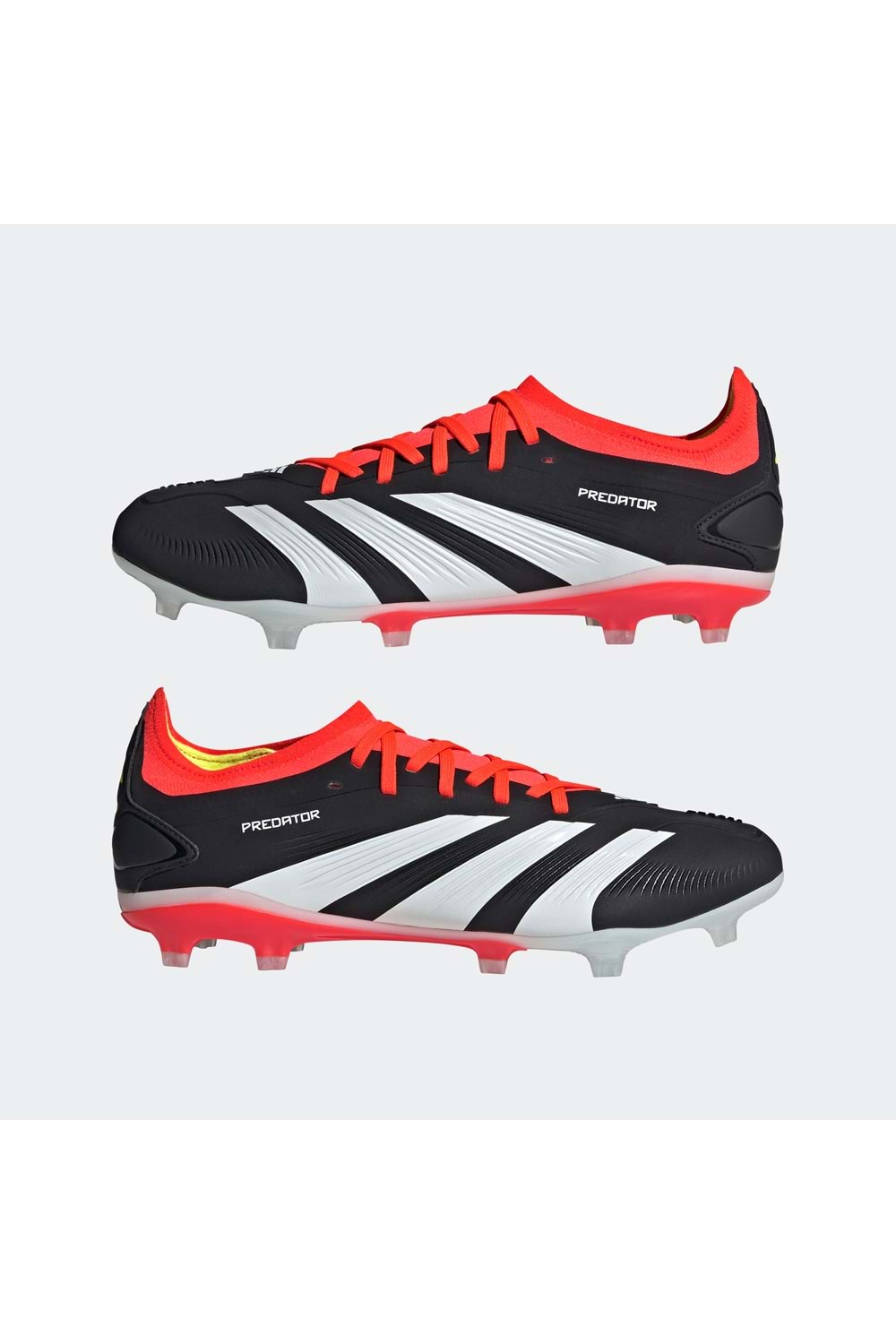 Predator 24 Pro