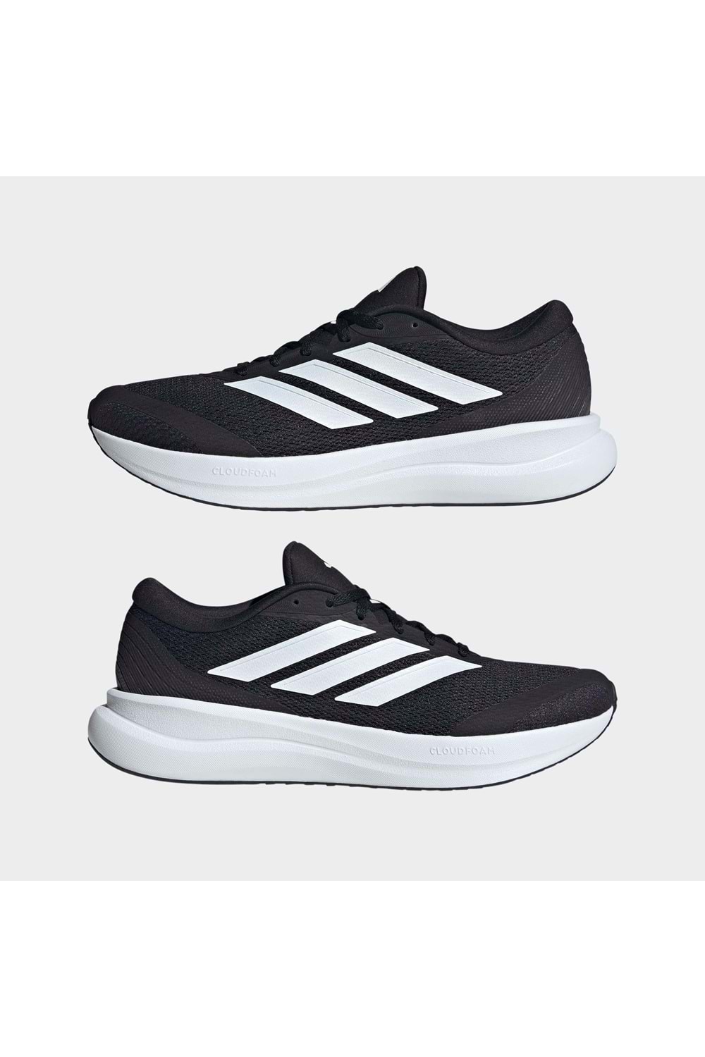 Runfalcon 6