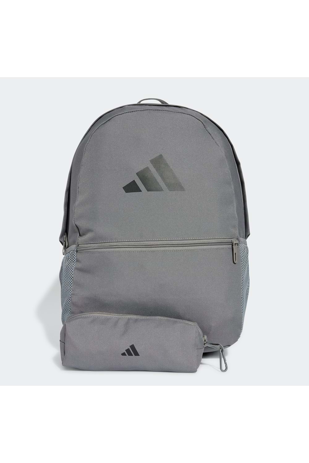 Clsc Pcase Bp