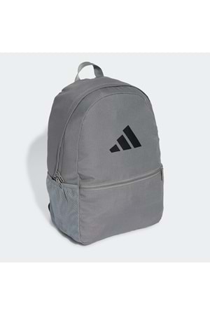 Clsc Pcase Bp