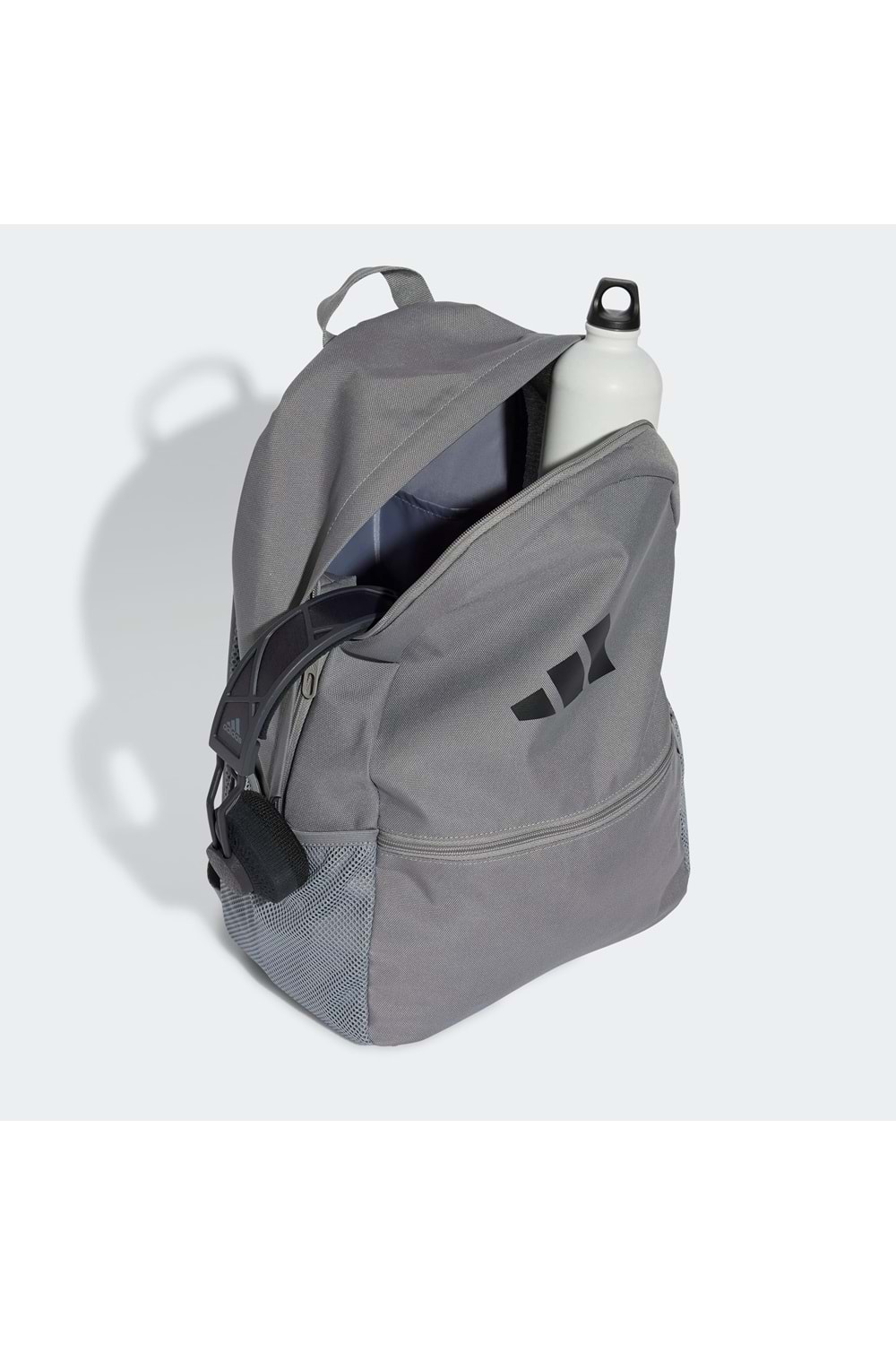 Clsc Pcase Bp