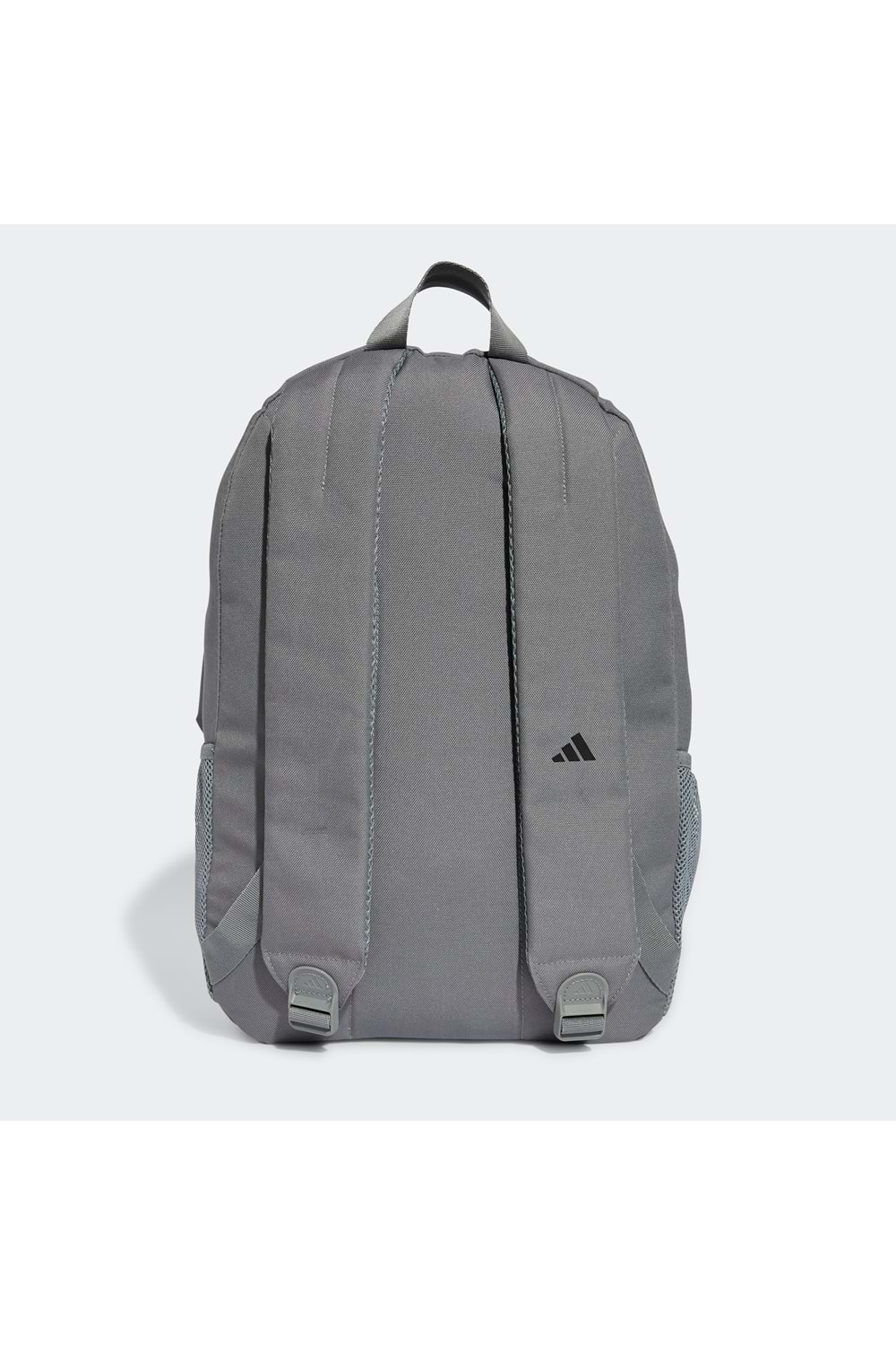 Clsc Pcase Bp