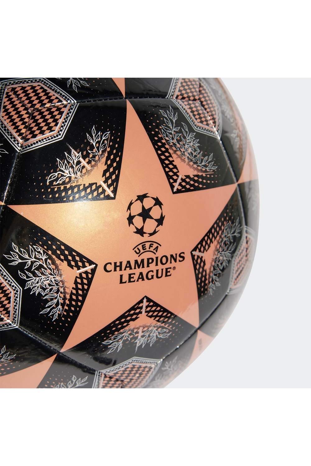 UCL Clb 24/25