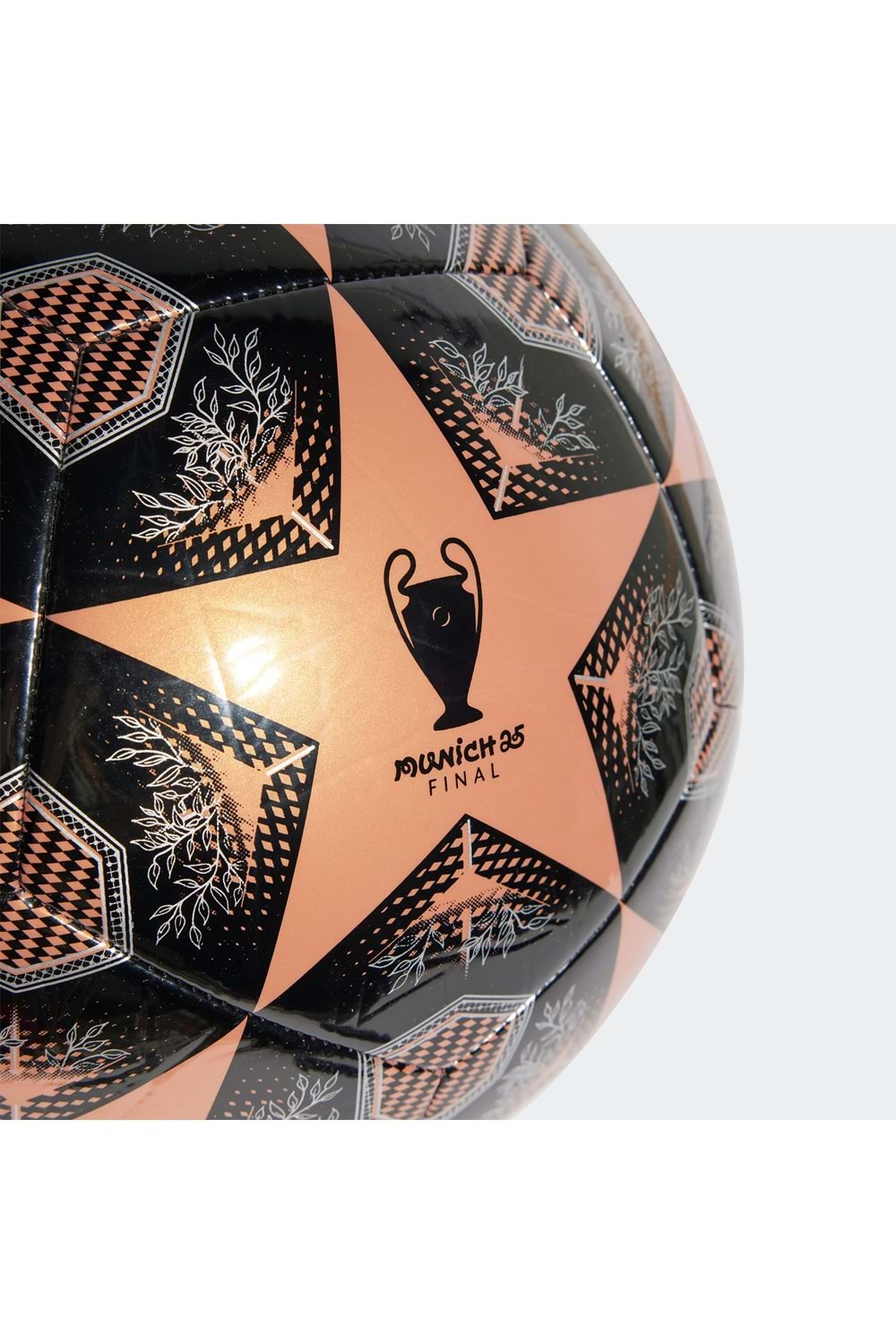 UCL Clb 24/25