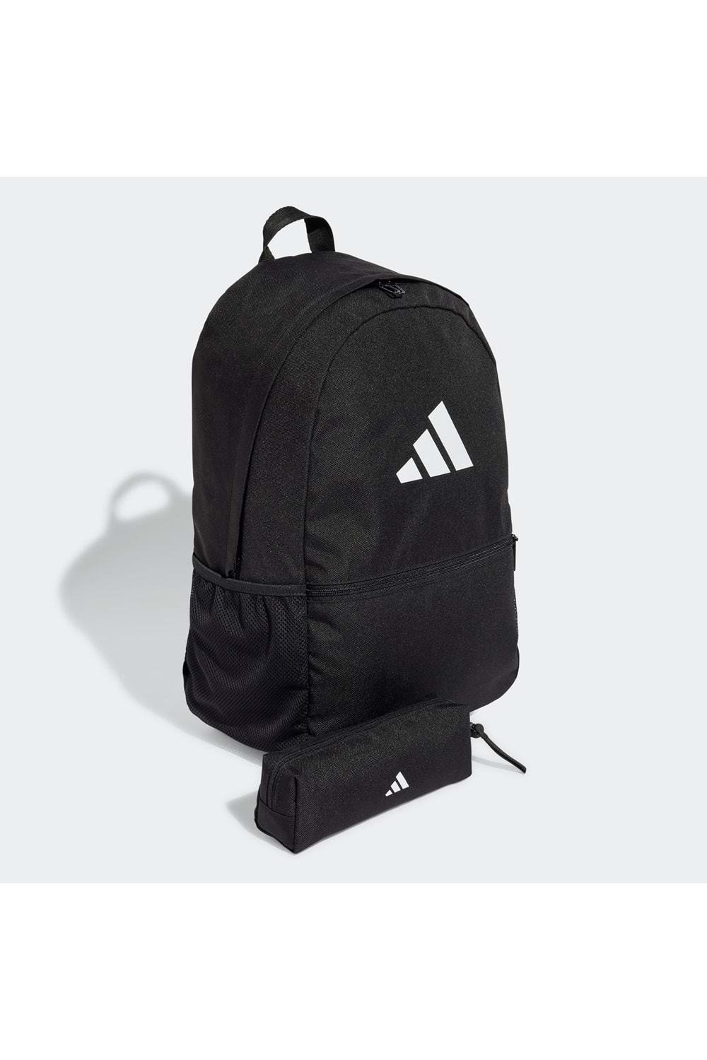 Clsc Pcase Bp
