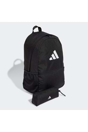 Clsc Pcase Bp