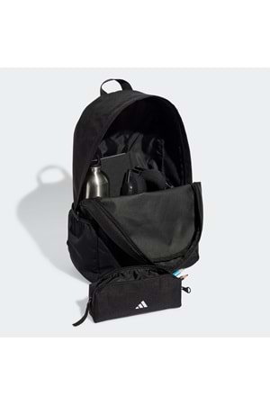 Clsc Pcase Bp