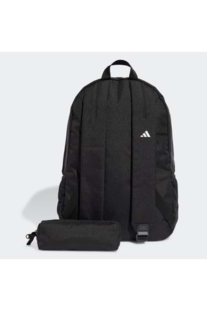 Clsc Pcase Bp