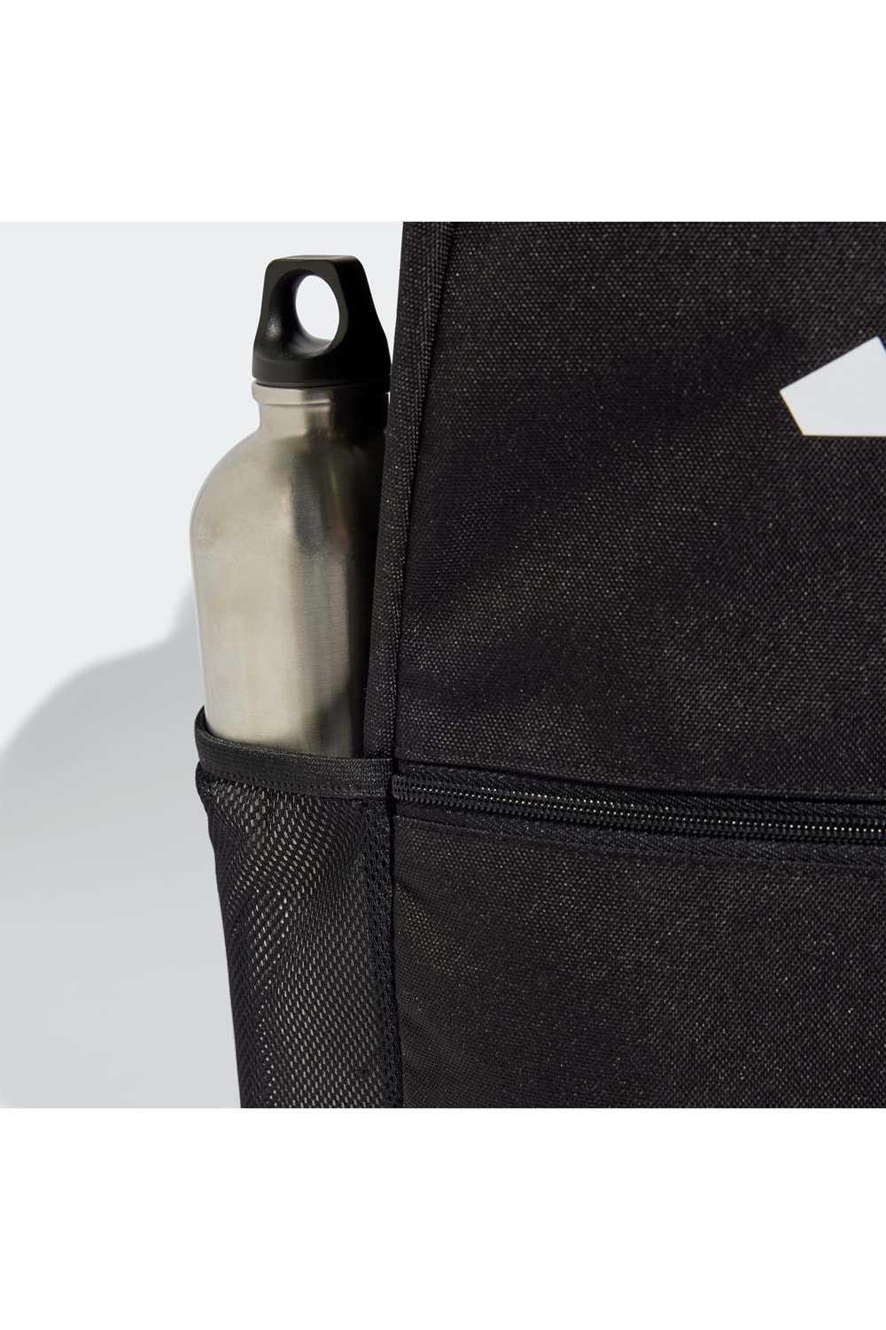 Clsc Pcase Bp