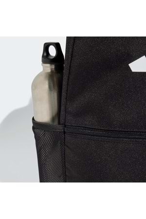 Clsc Pcase Bp