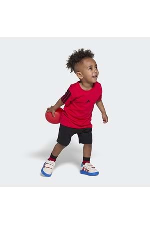 Grand Court Spider - Man CF