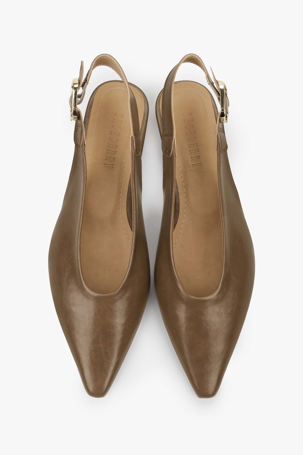 Kadın Viela Toprak Cilt Sivri Burunlu Babet