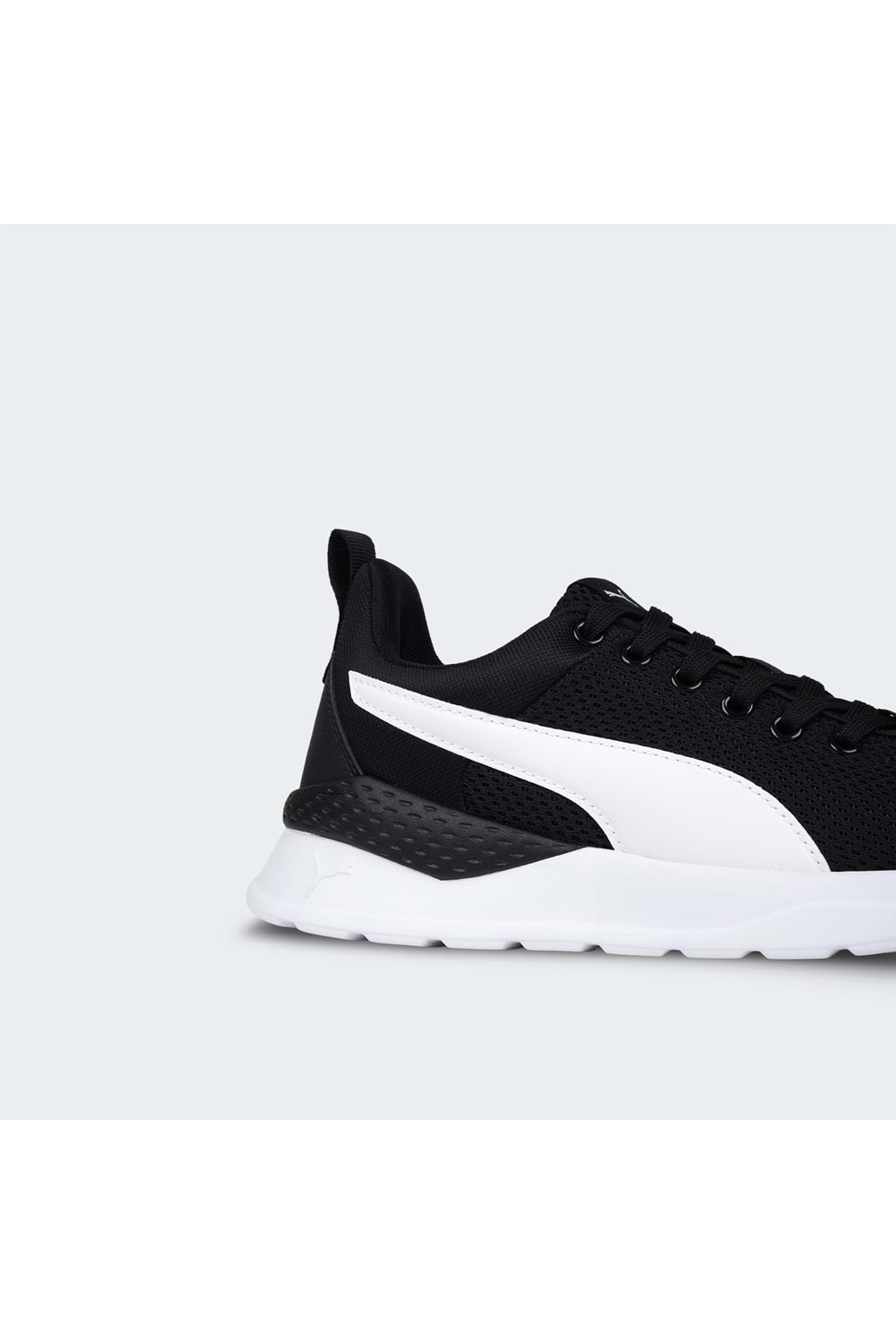 Anzarun Lite TDP Anzarun Lite TDP