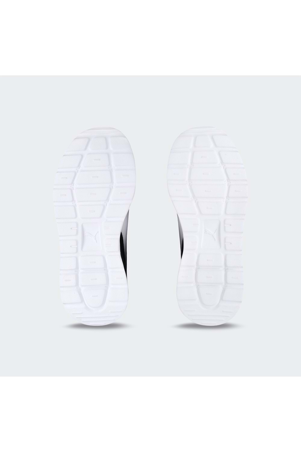 Anzarun Lite TDP Anzarun Lite TDP